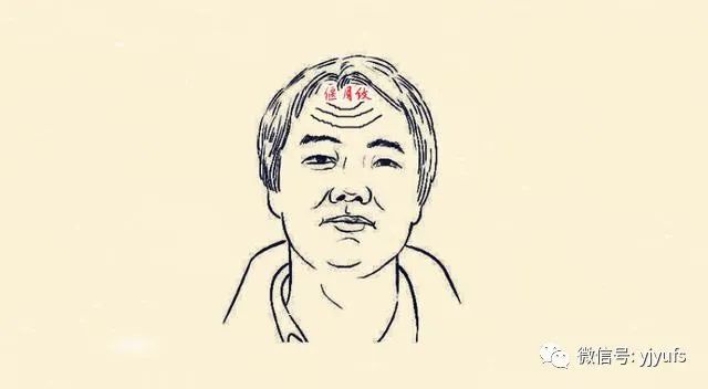 七种抬头纹形状看命运你的抬头纹是哪种就是什么命