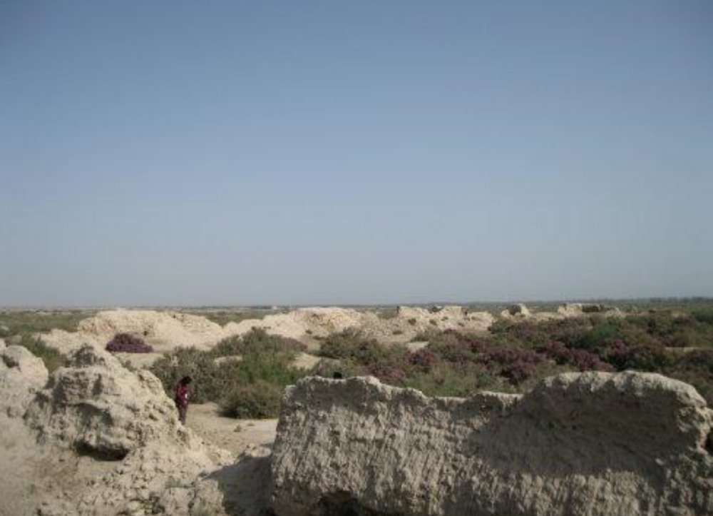 揭开新疆通古斯巴西古城神秘面纱,见证唐代安西都护府历史变迁