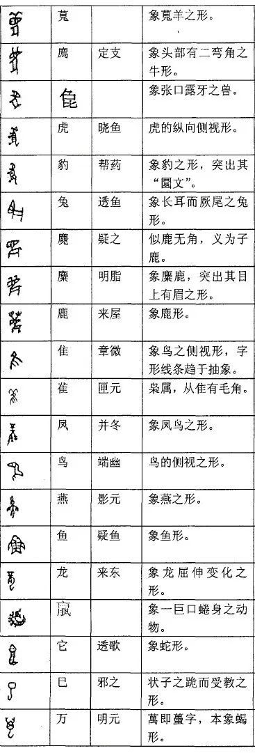 甲骨文261个象形字 古人天真烂漫的 简笔画 腾讯新闻