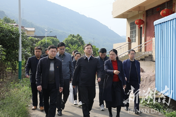 苏小康调研双牌河东新区项目并召开现场办公会