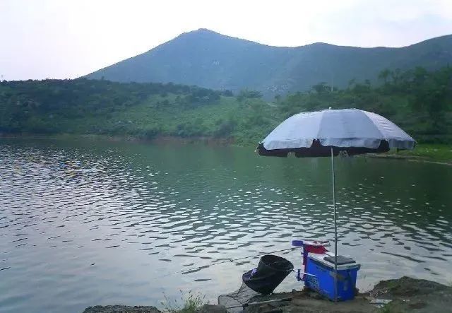 水库钓鱼如何选择钓位,渔具,钓法和饵料?