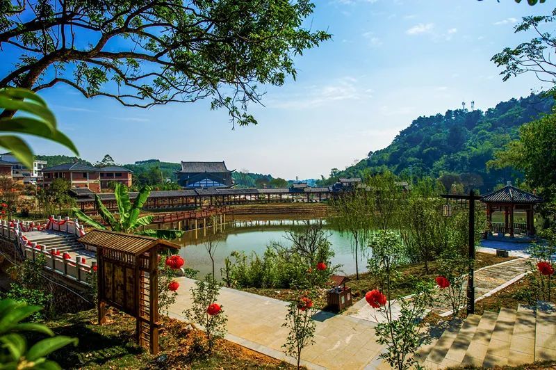 中国少数民族特色村寨青秀区南阳镇古岳坡