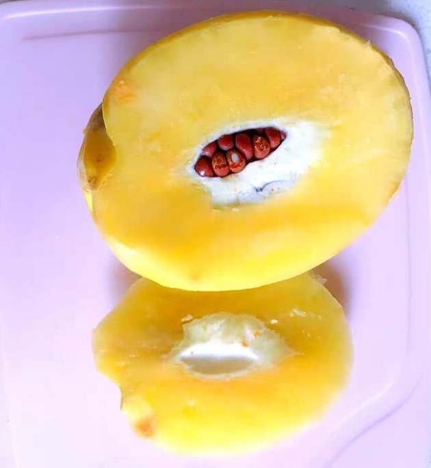 这五级酸掉牙的水果,你能吃到几级,能全吃完的都是大神,请收下我的