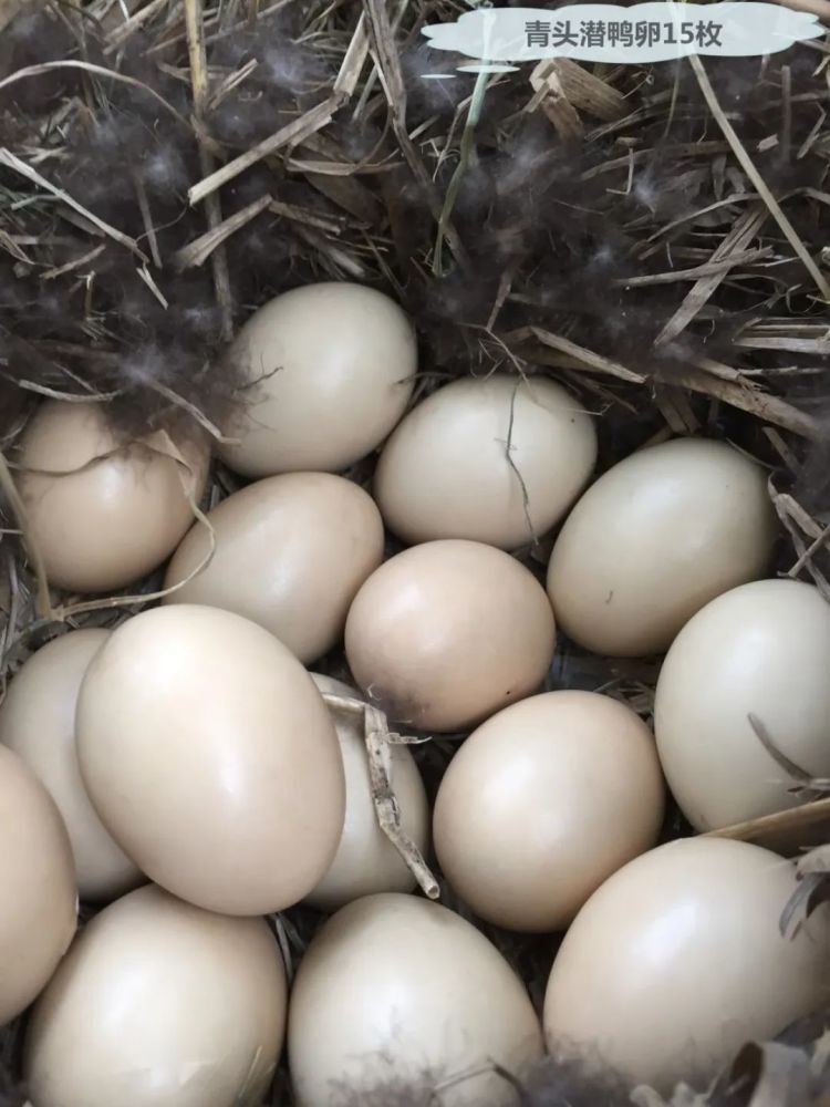 在线等,挺急的!_腾讯新闻