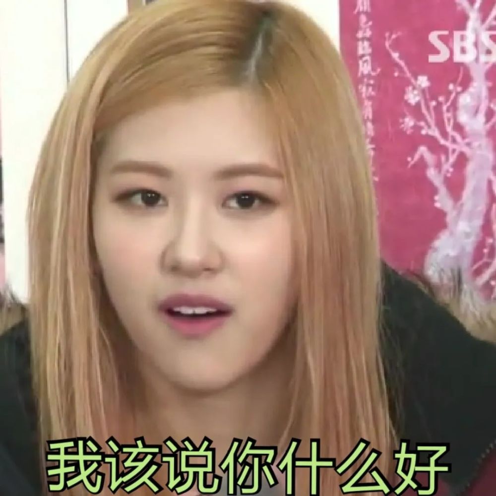 blackpink可爱沙雕表情包