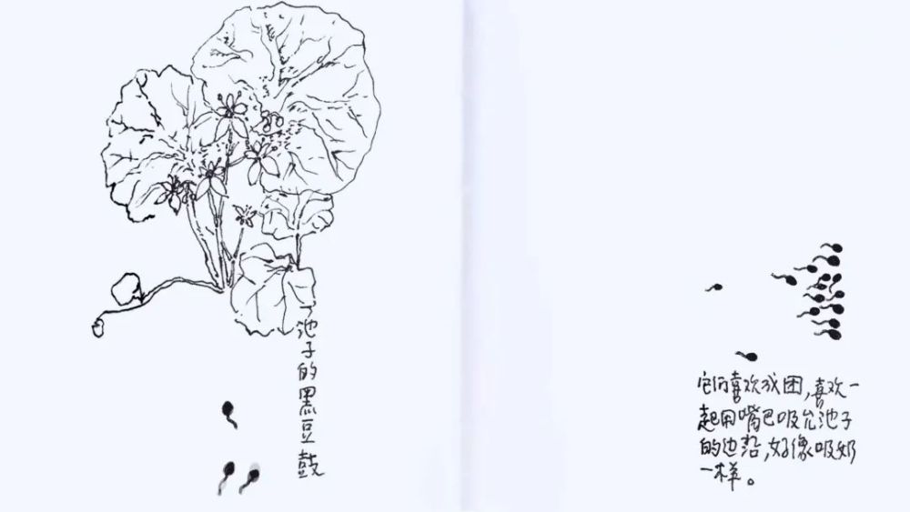 但是還有書籍幸好還有書籍