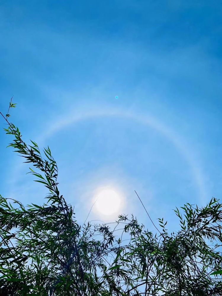 百色超大日晕刷爆朋友圈网友p图恶搞