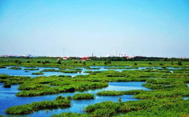 石油重鎮大慶市的景點風光