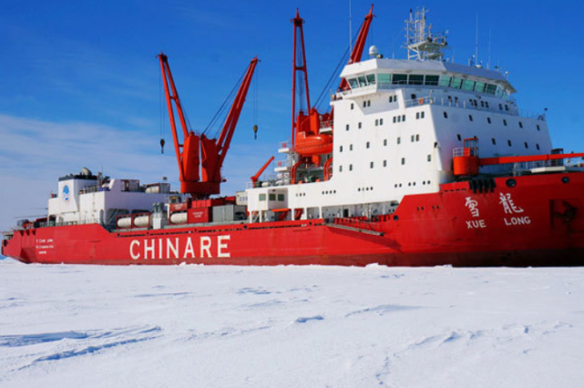 在南极海中找到的东西,让科学家们"不寒而栗"!直言:"搬砖砸脚"!