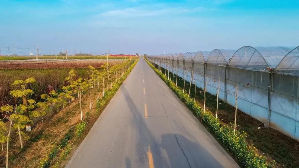 途經邯肥快速路與通達街林帶,宏凱農業產業園,豐碩食用菌種植基地