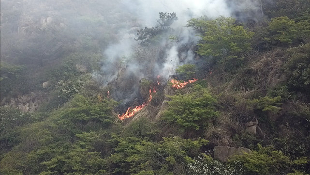 航拍青岛小珠山景区内山火 正在救援中