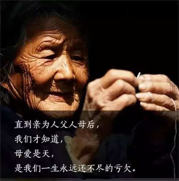 深度好文:人这一辈子,亏欠最多的是自己的父母,望珍重