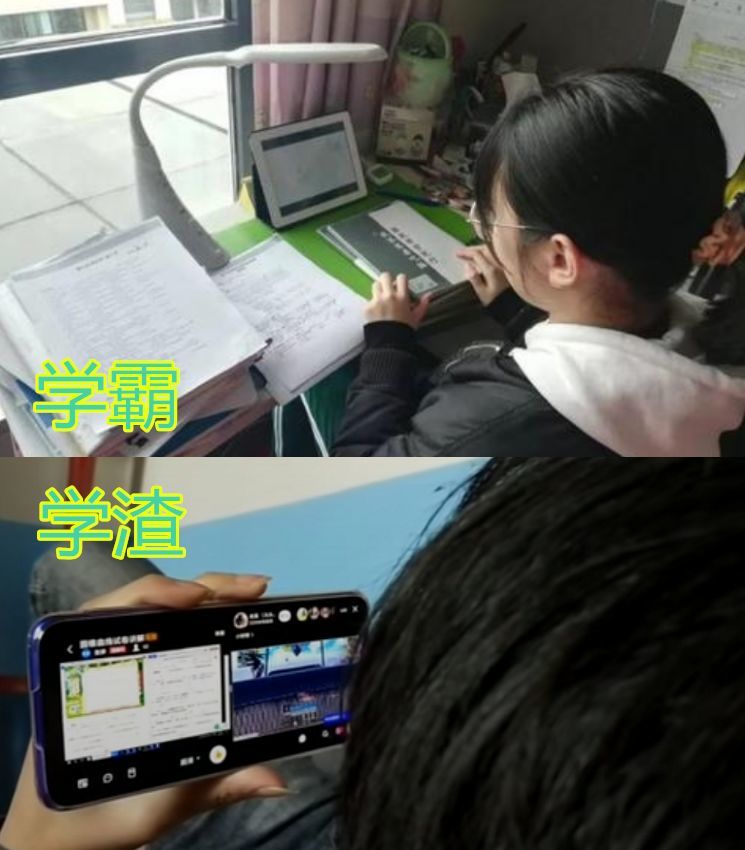 现在的学生真胆大,网友:害的还是自己