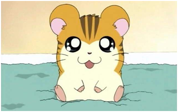 金黄叙利亚小仓鼠的亚子就是我们熟知的卡通仓鼠"哈姆太郎":今年三月