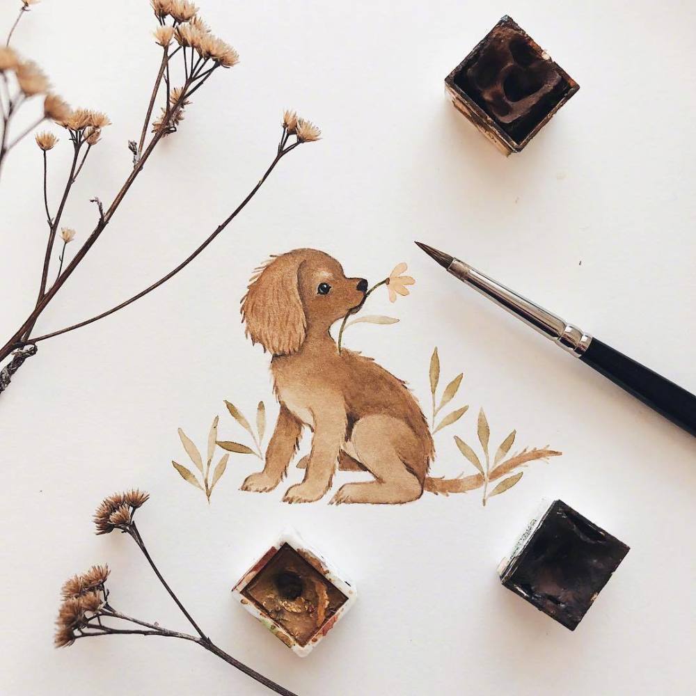 超萌的小动物系列水彩画治愈你的小可爱