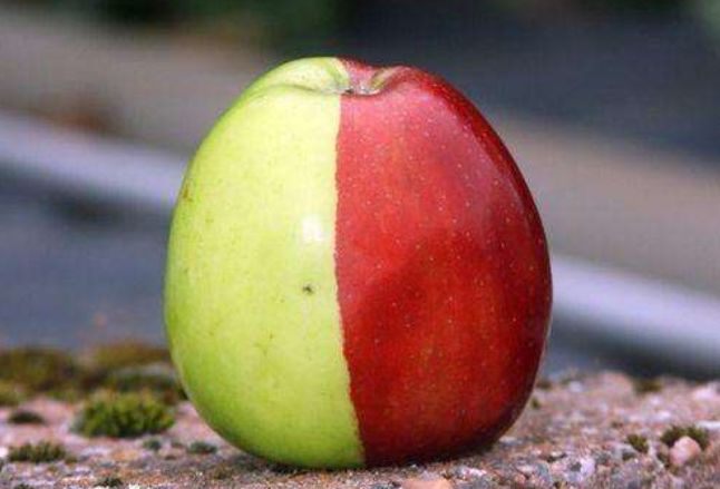 心理学你认为下面哪个苹果才是真正的毒苹果秒测你智商的高低