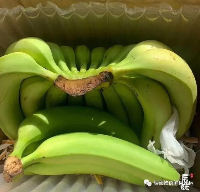 一直回购的绿皮香蕉|香蕉|催熟|绿皮