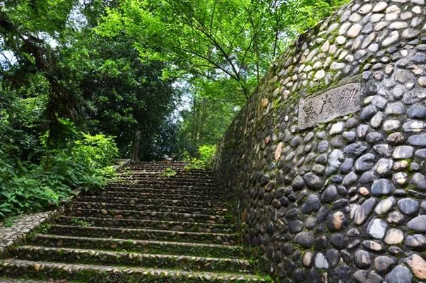 万木林|这本书出版发行，关于建瓯万木林景区的