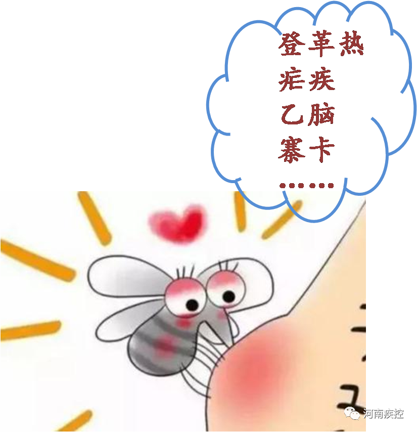 夏天马上到来,关于讨厌的蚊子,你需要知道这些