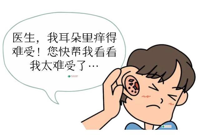 三甲医生提醒:耳朵痒个不停?很可能是你耳朵"发霉"了