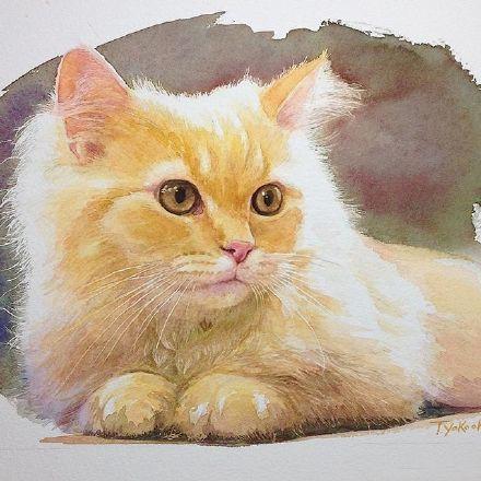 千姿百态的小动物和诱人的水果 你更喜欢哪幅水色的画面 腾讯网