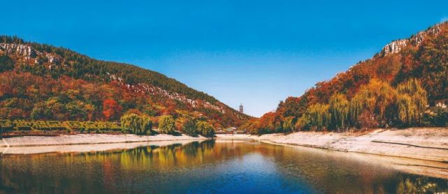 走进峄城之"天下第一榴园"——冠世榴园|冠世榴园|峄城区|枣庄