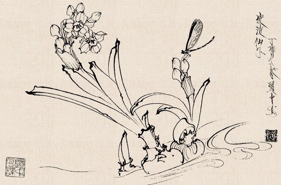 王道中工笔白描花卉欣赏_腾讯新闻