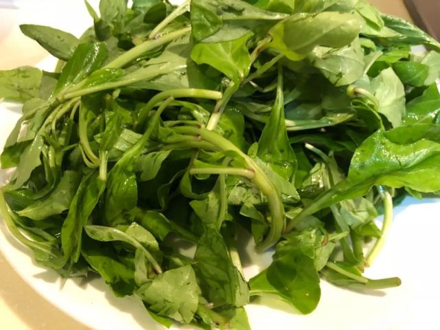 狗地芽臭老婆鸡屎藤四川人给野菜取名真是鬼才