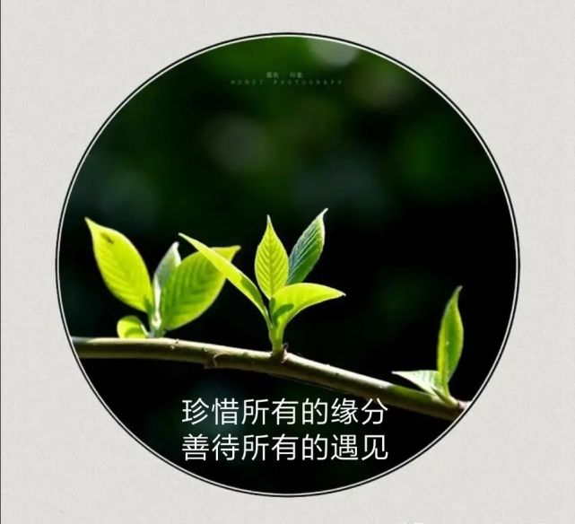 为了偿还前世的思念,今生才会来到你的身边!|缘分