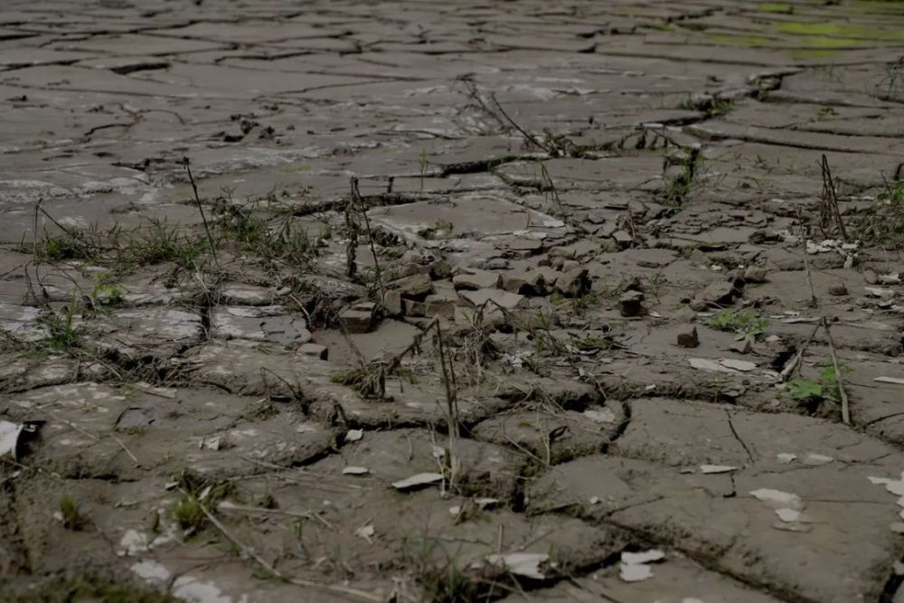 被碎石废水污染后的农田