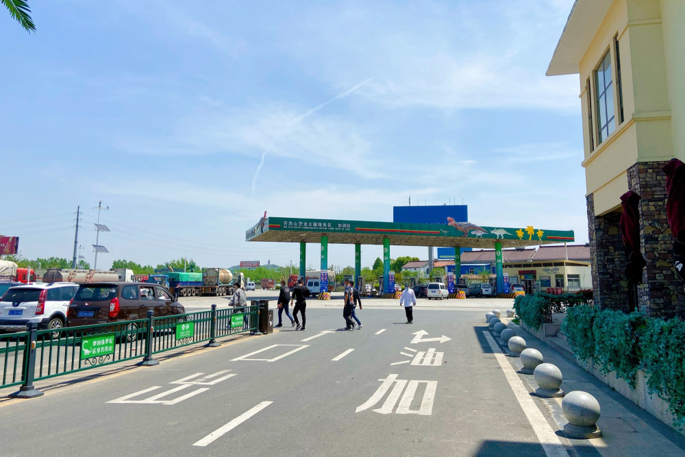 江苏常州最美的高速服务区以恐龙元素为主题好像穿越了时空