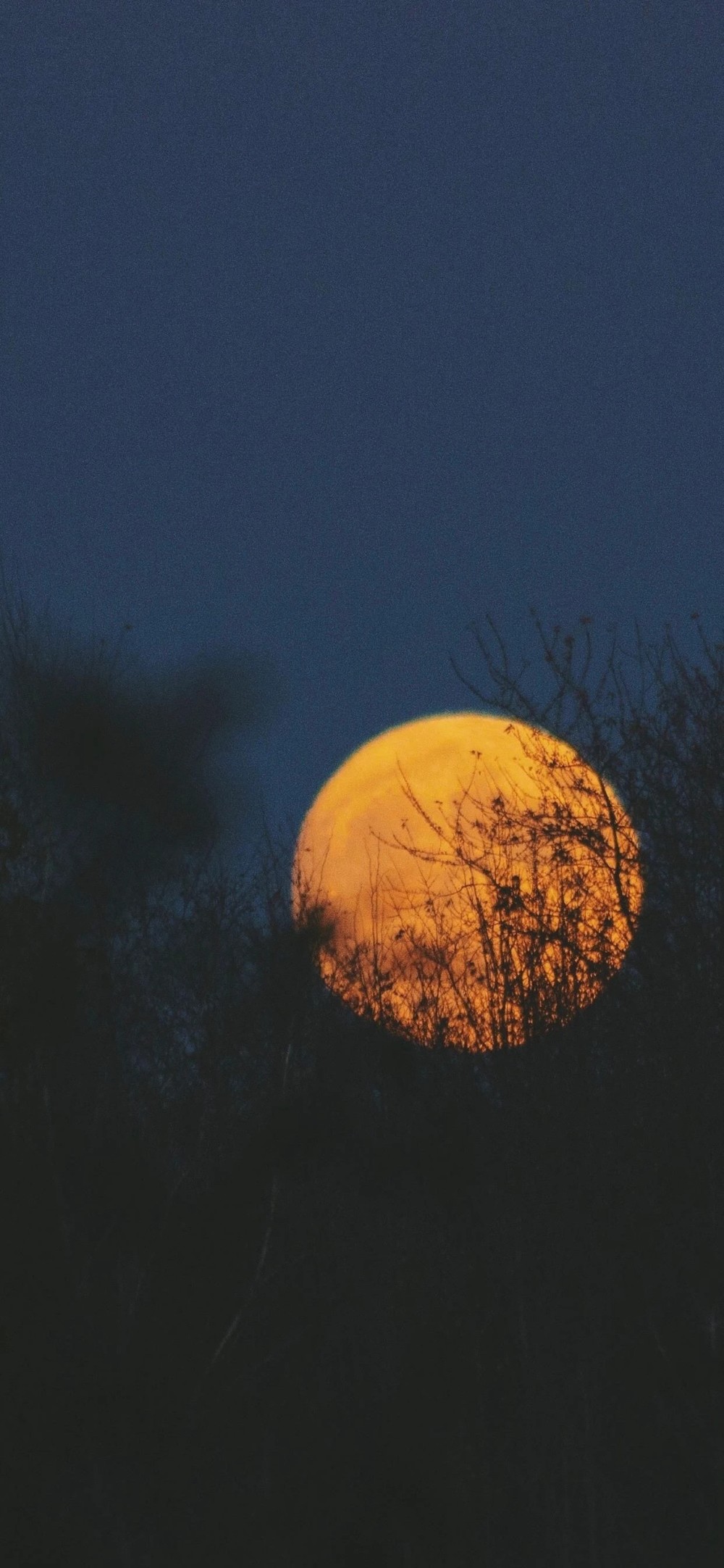 皓月清凉,你是人间曙光