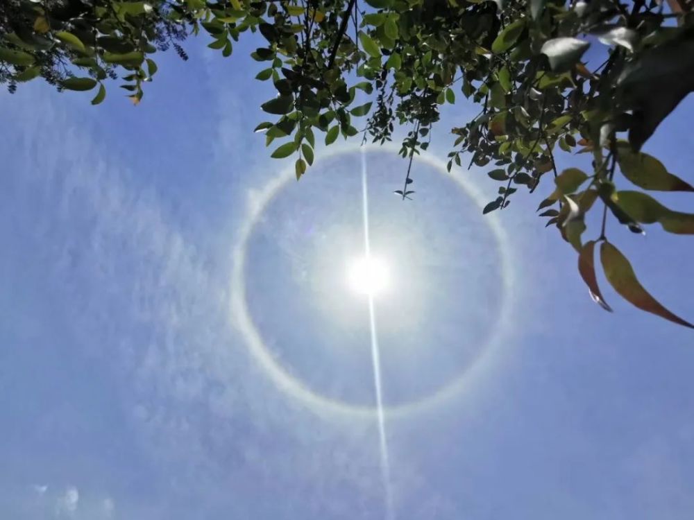 太陽:我暈了,這周也要把你們熱暈!梅州氣溫將飆升至30℃!