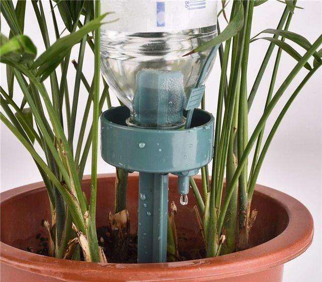 爱花的你必须了解的六种浇花技巧,让你家里的花得到最好的滋润