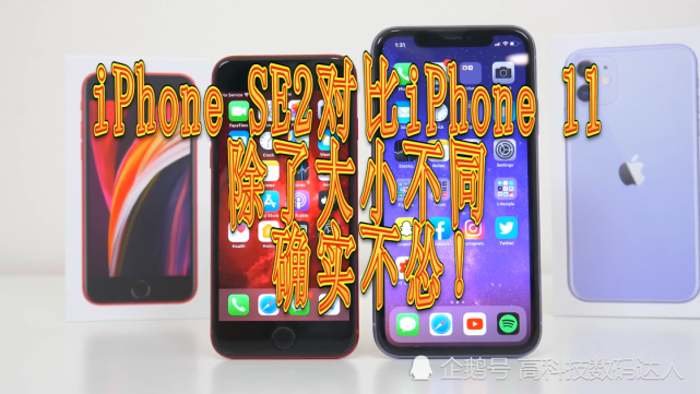 入门级苹果也很香 Iphone Se2对比iphone11 多大差距 苹果 Iphone Iphone8 Esim卡 显示器 Iphone Se2 Iphone11