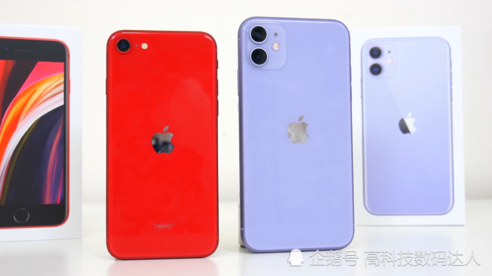 入门级苹果也很香,iphone se2对比iphone11,多大差距?
