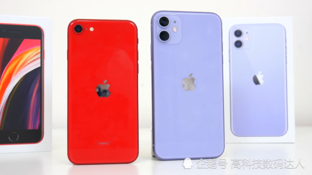 入门级苹果也很香 Iphone Se2对比iphone11 多大差距 苹果 Iphone Iphone8 Esim卡 显示器 Iphone Se2 Iphone11