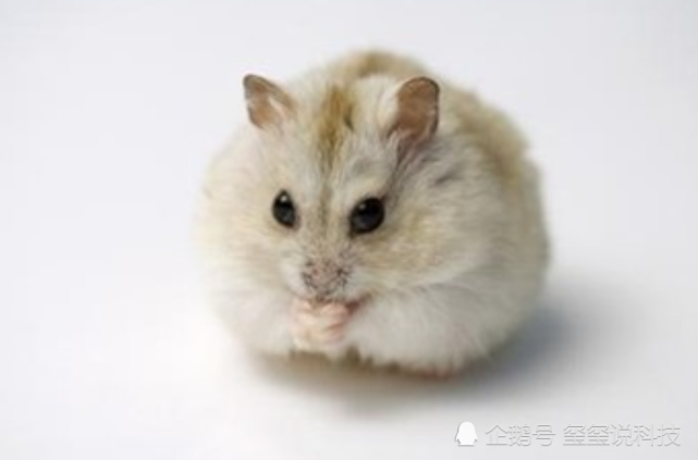 被放于太空9个月,科学家:总算有所变化!