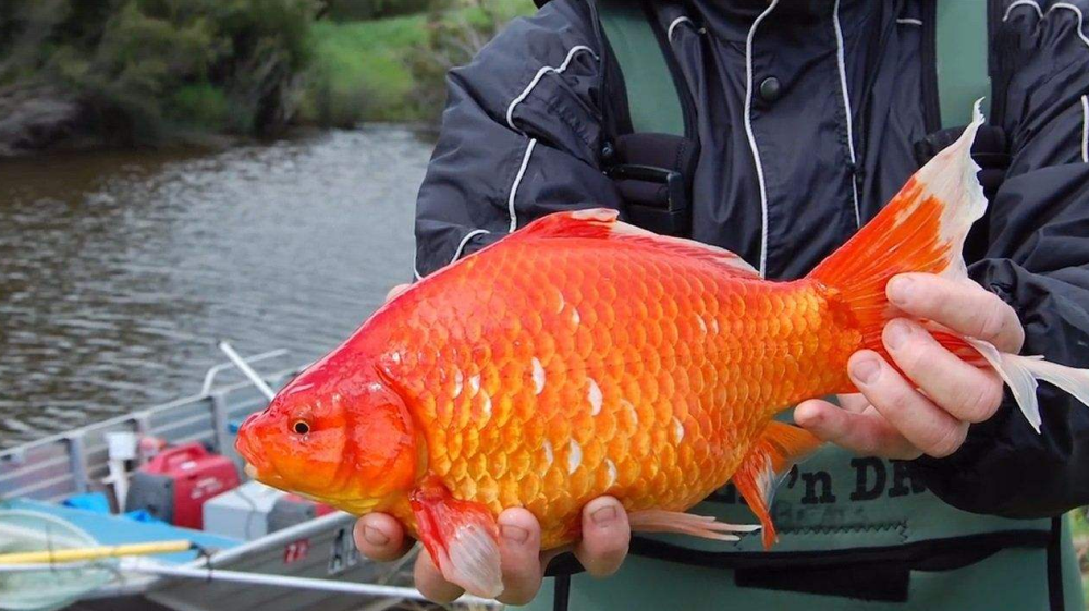 中國是一個美食大國,也是