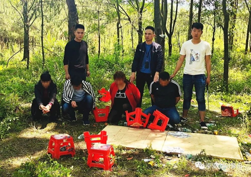 与此同时,27日上午,民警乘胜追击,根据群众举报,在石塘镇朝南村委某村