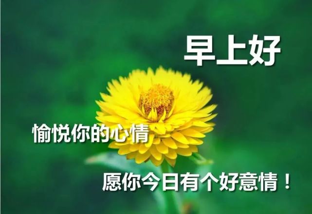 早安,祝你天天好心情!