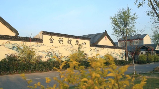 睢宁洪山村田园农旅小山村鲤鱼跃龙门