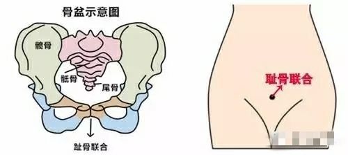 孕晚期有種痛讓孕媽媽懷疑人生學會這幾點有效緩解恥骨痛