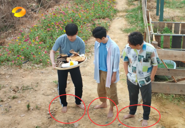 黄磊舍不得她光脚,全家唯一的拖鞋留给她穿