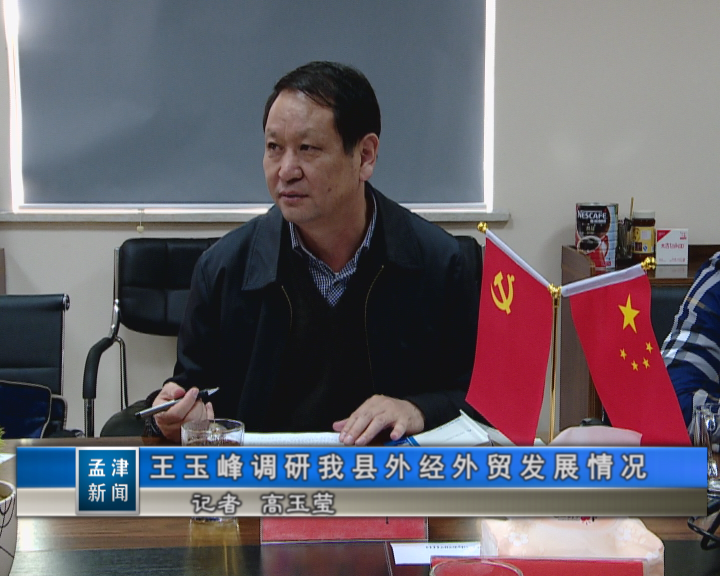 王玉峰调研我县外经外贸发展情况