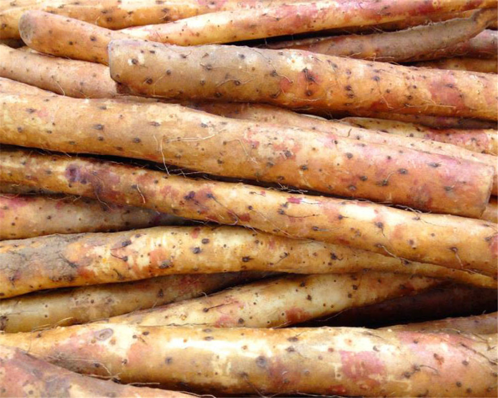 山药:山中之药,食中之药