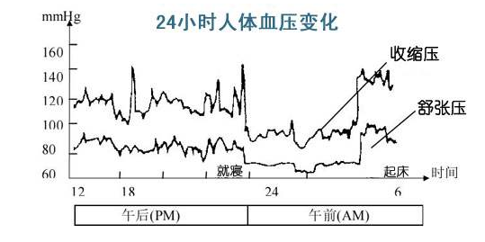 人的血压是24小时波动的,人体的收缩压及舒张压呈明显的昼夜节律.