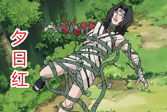 火影忍者角色被捆绑的4大场景雏田照美冥没啥看到佐助心疼了