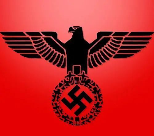 纳粹符号历史书图片