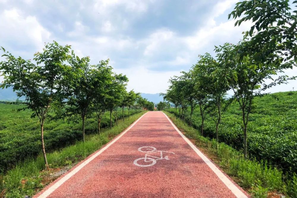 登高赏花,绿道骑行,生态养生……这才是咸宁的春天!